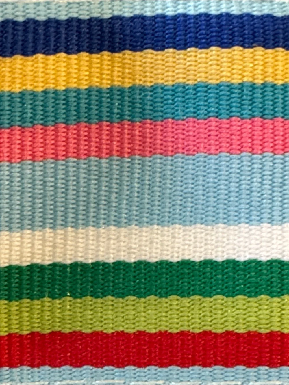 EQ colorful equestrian